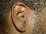 Image result for Yeast Infection in Ear Canal