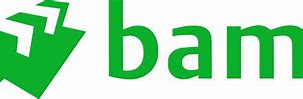 Image result for Bam X Logo