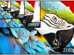 Image result for HDR vs UHD