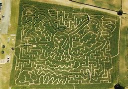 Image result for Maze From Above