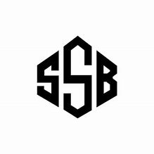 Image result for SSB Battery Logo