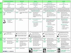 Image result for Upper Extremity Innervation Chart