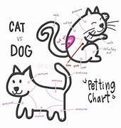 Image result for Cat Pet Chart