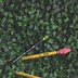 Image result for Ticonderoga Pencils