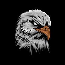 Image result for Two Eagle Artists