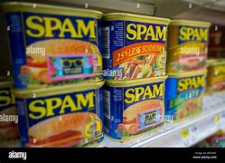 Image result for Large Cans of Spam