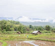 Image result for Arable Land in Japan