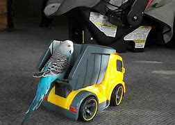 Image result for Neon Ride Fly Robin