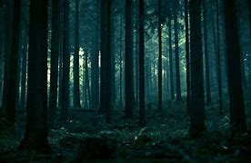 Image result for Dark Forest Background Art