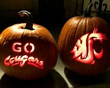 Image result for WSU Coug Alumni