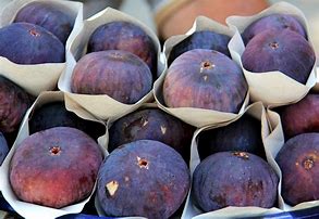 Image result for Figs Production Turkey