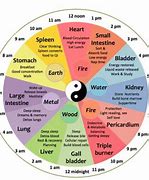 Image result for Organ Time Clock