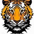 Image result for Tiger Head Line Drawing