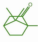 Image result for Camphor Condensed Structural Formula