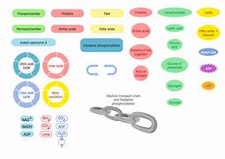 Image result for BioMed Symbols