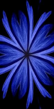 Image result for Zedge Wallpaper Blue Flowers Background