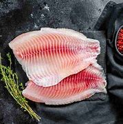 Image result for Spoilt Tilapia Fish