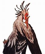 Image result for Dnd Birds