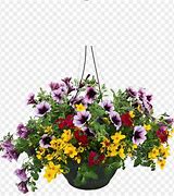 Image result for Hanging Flower Basket Clip Art