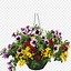 Image result for Hanging Flower Basket Clip Art