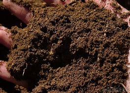 Image result for Tonne Bag Peat Moss