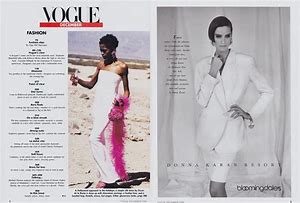 Image result for Vogue Theme