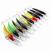 Image result for Fake Minnow Fishing Set Up