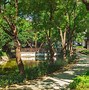 Image result for San Antonio Riverwalk Photo Gallery