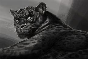 Image result for Big Cat Drawings