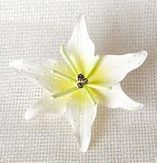 Image result for White Stargazer Lilies