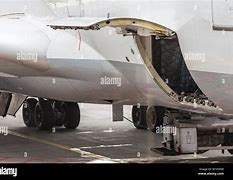 Image result for A330 Cargo Door