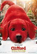 Image result for Red Dog Aus