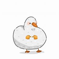 Image result for Camera Shy Duck