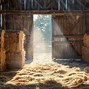 Image result for Hay Field