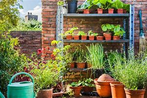 Image result for Urban Gardening Balkon