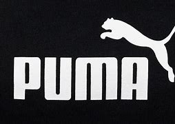 Image result for Puma Funny Logo