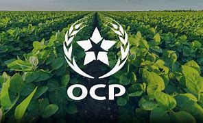 Image result for Morroco OCP