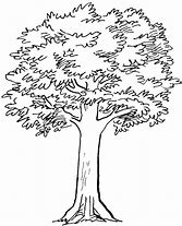 Image result for Line Drawn Tree