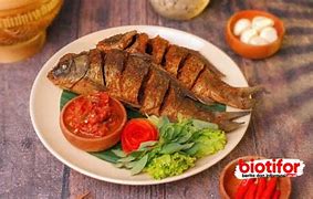 Image result for Ikan Mencari Makan