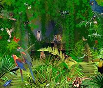 Image result for Animated Jungle Vines