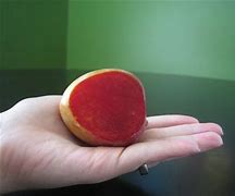 Image result for Elephant Heart Plum