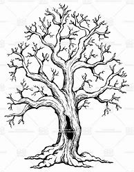 Image result for Tree Art Sketch