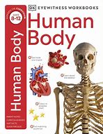 Image result for DK Human Body