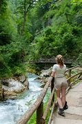 Image result for Vintgar Gorge