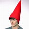 Image result for Wool Hat Gnome