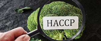 Image result for Tuv HACCP Logo