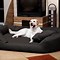 Image result for Specialty Dog Beds