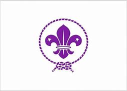 Image result for Logo Scout Day