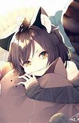 Image result for Chita Cat