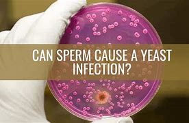 Image result for Can Yeast Infection